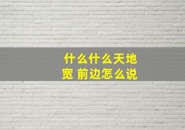 什么什么天地宽 前边怎么说